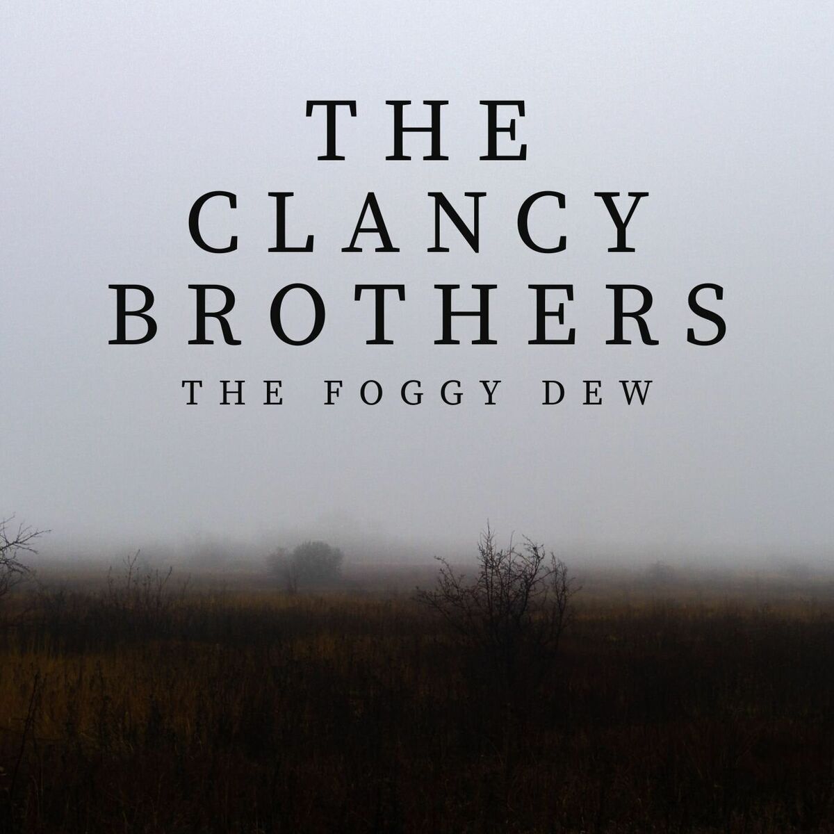 Album cover of The Foggy Dew