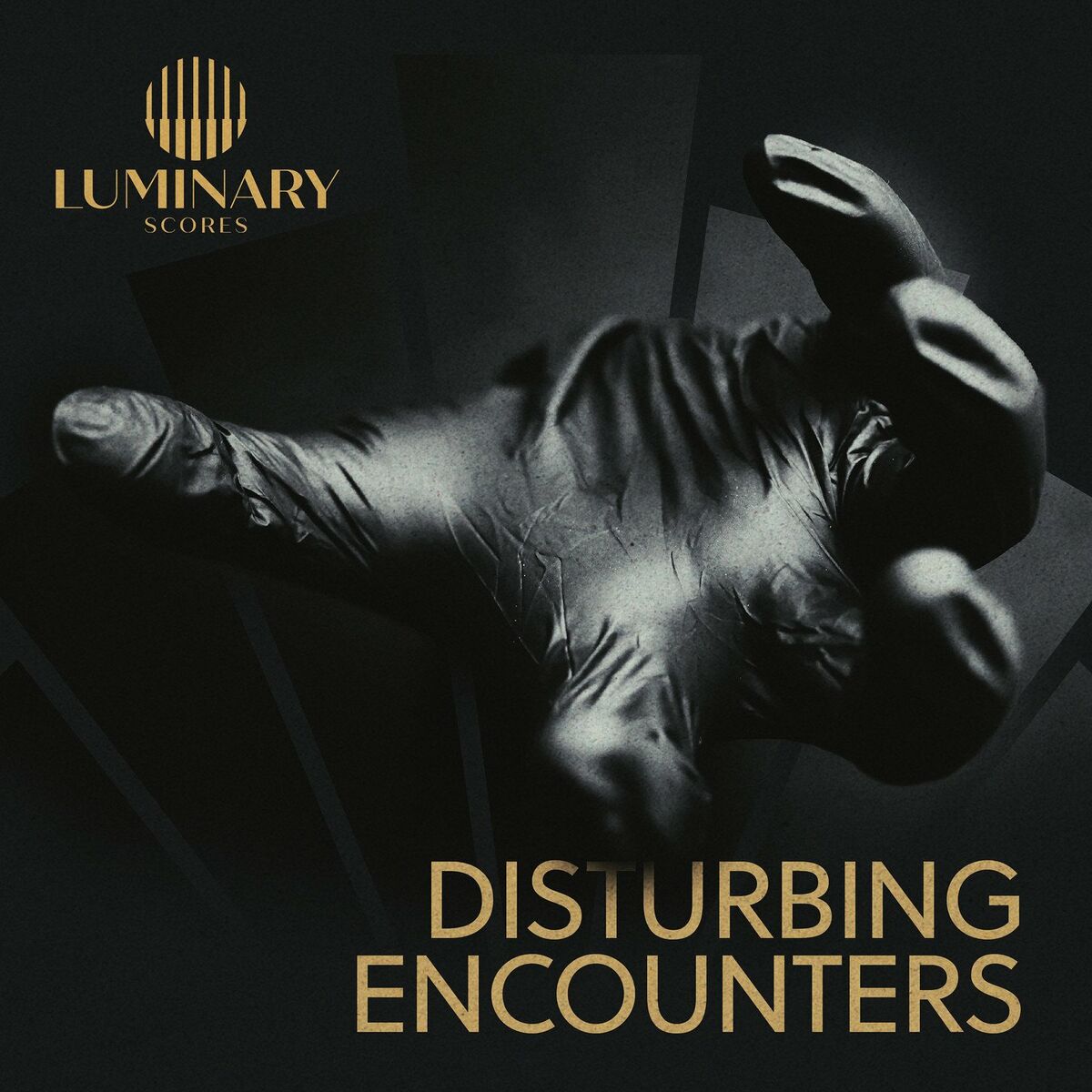 Album cover of Disturbing Encounters