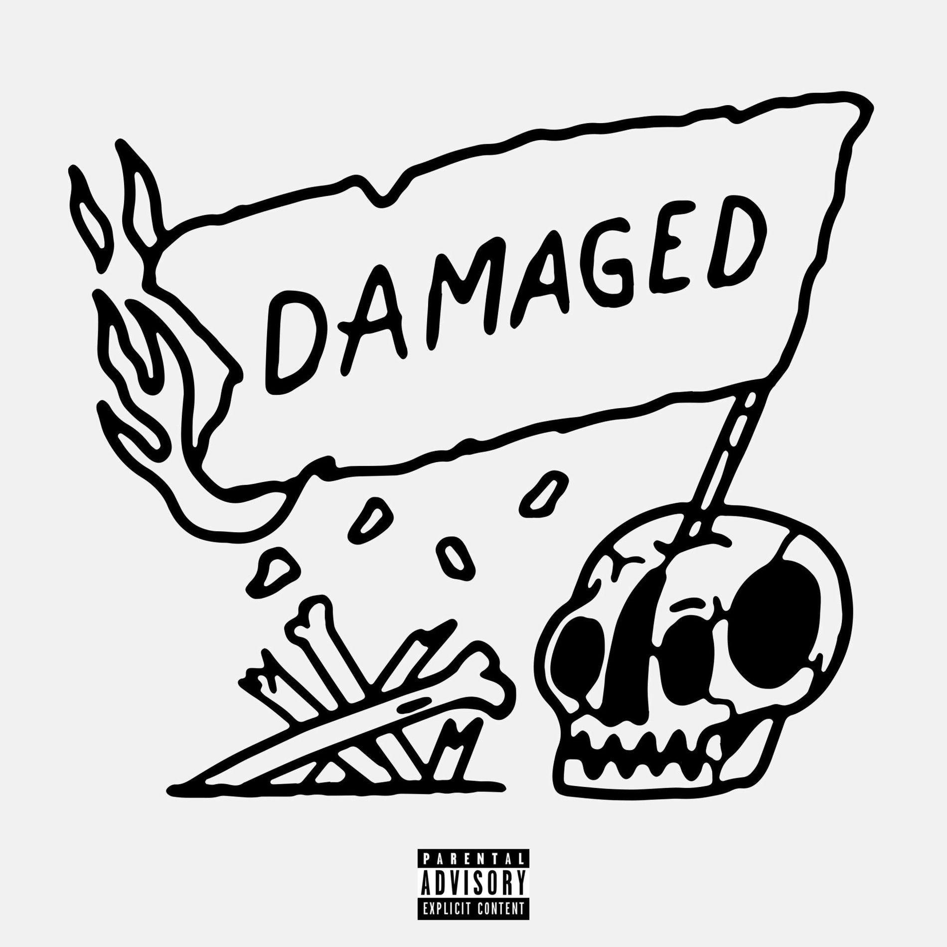 Album cover of damaged