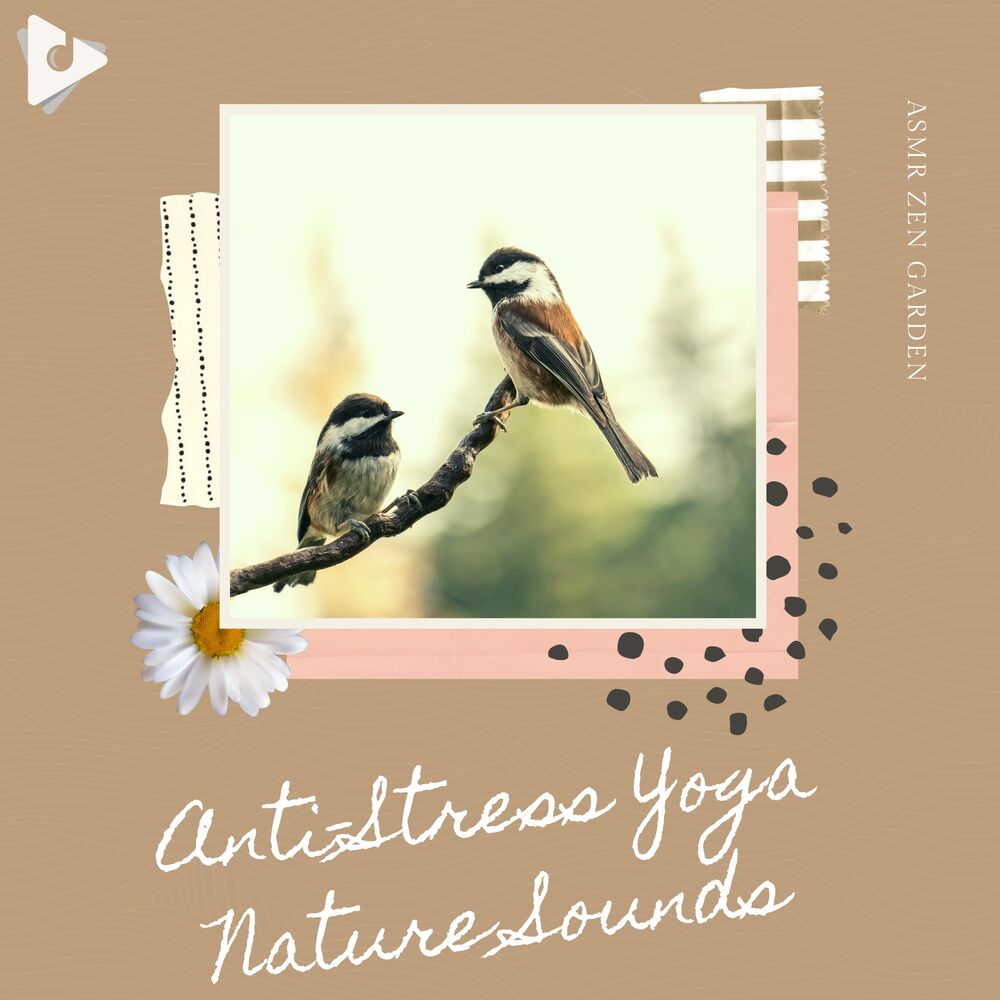 Picture of Anti-Stress Yoga Nature Sounds