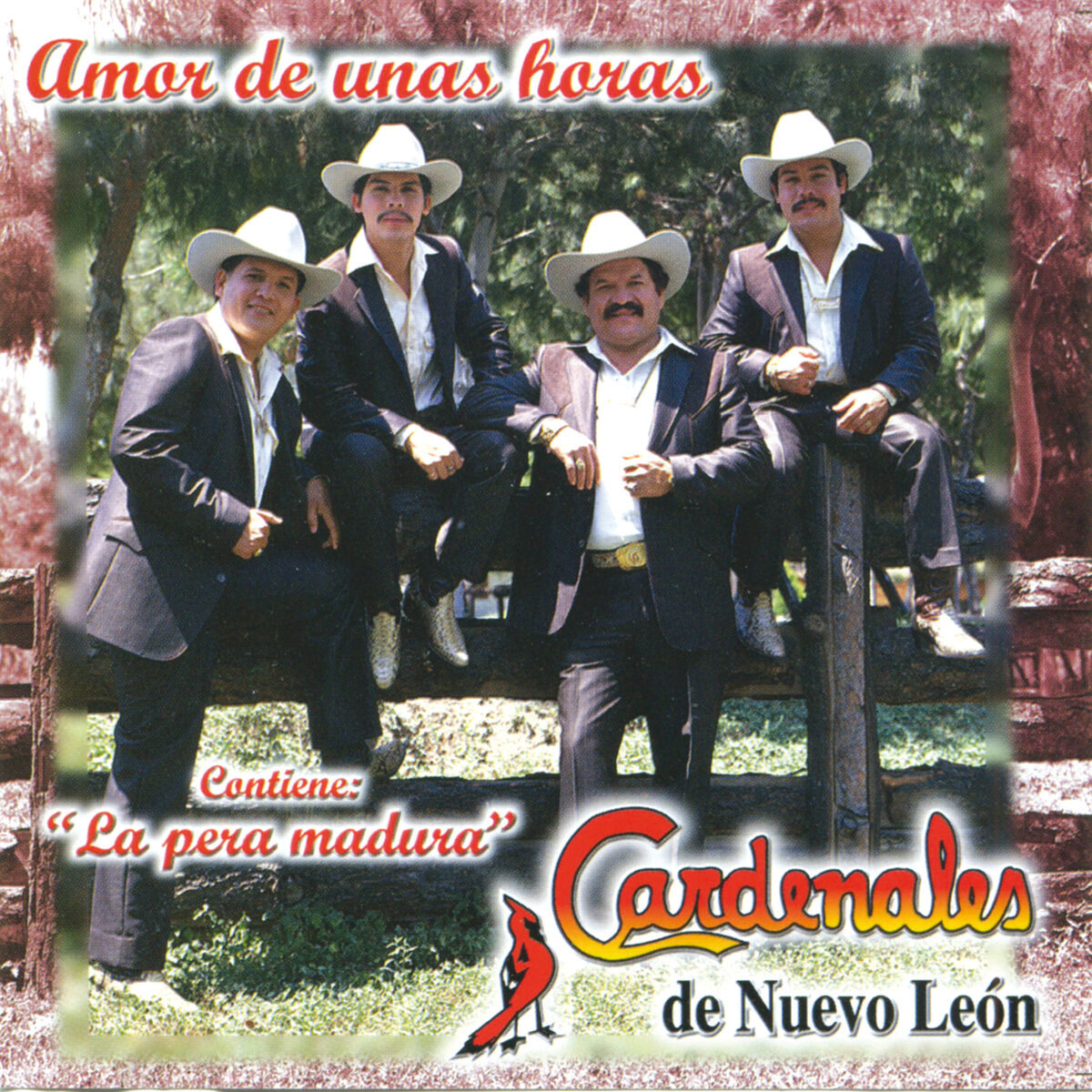 Album cover of Amor De Unas Horas
