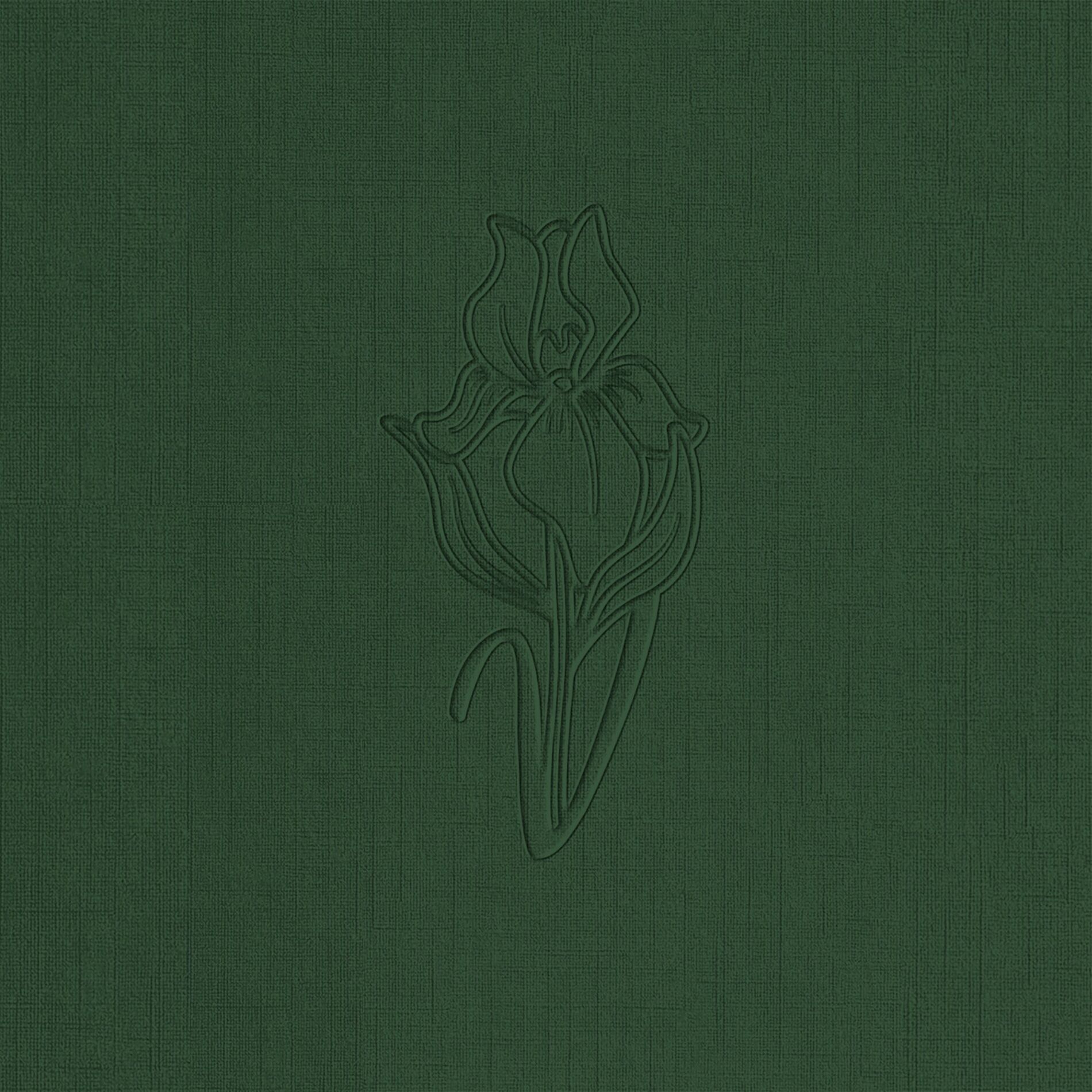 Album cover of The Day After