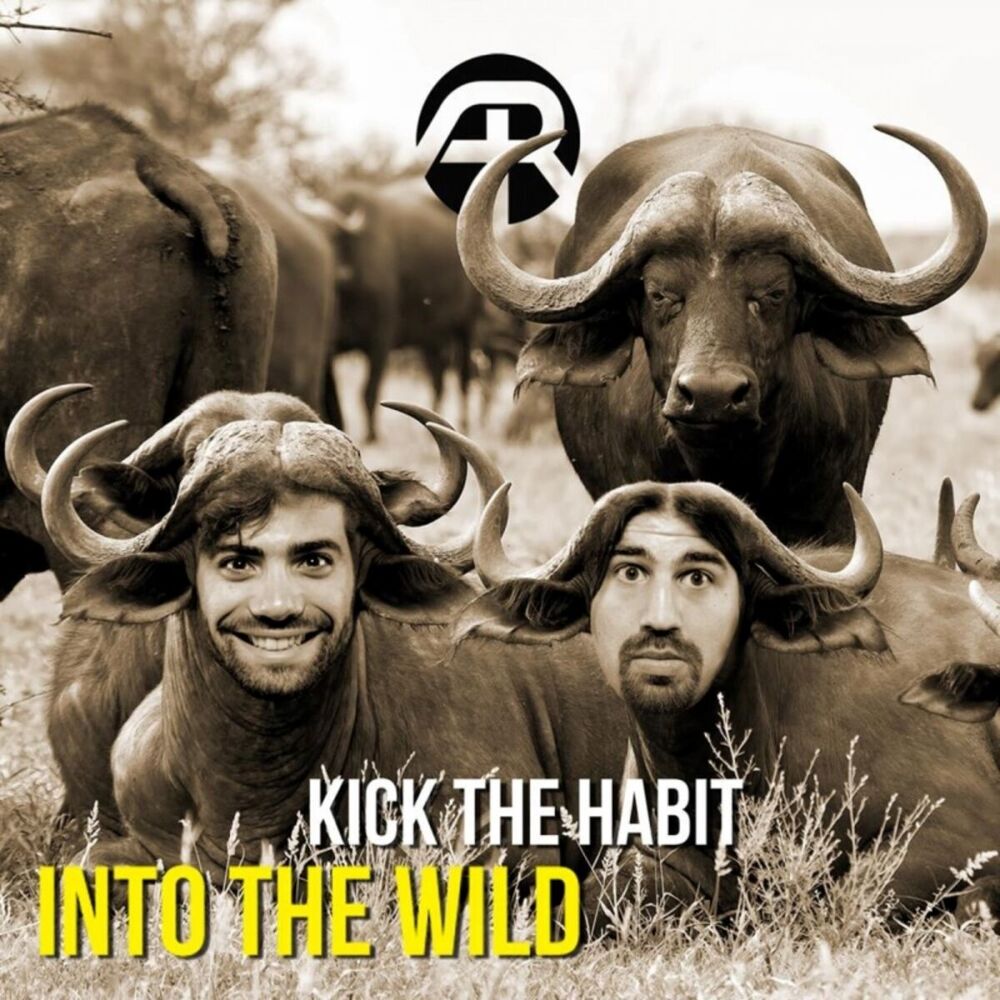 Picture of Into The Wild