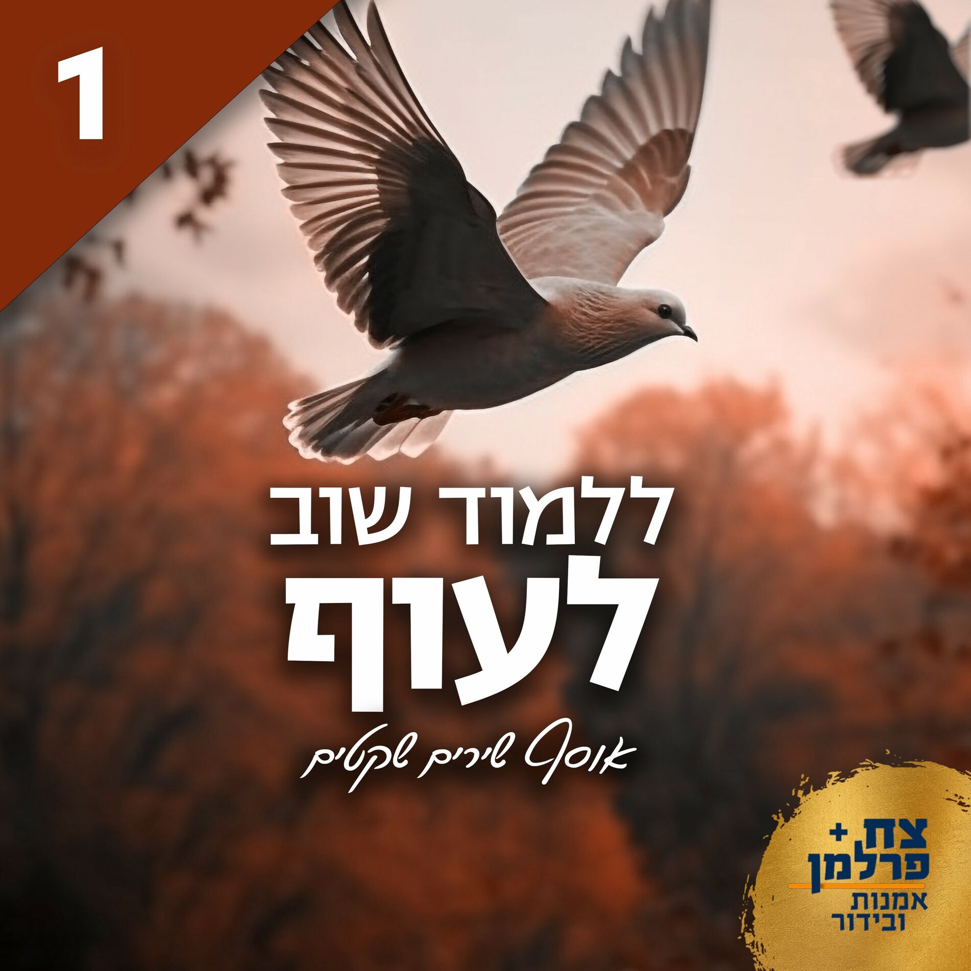 Album cover of ללמוד שוב לעוף 1 (אוסף שירים שקטים)