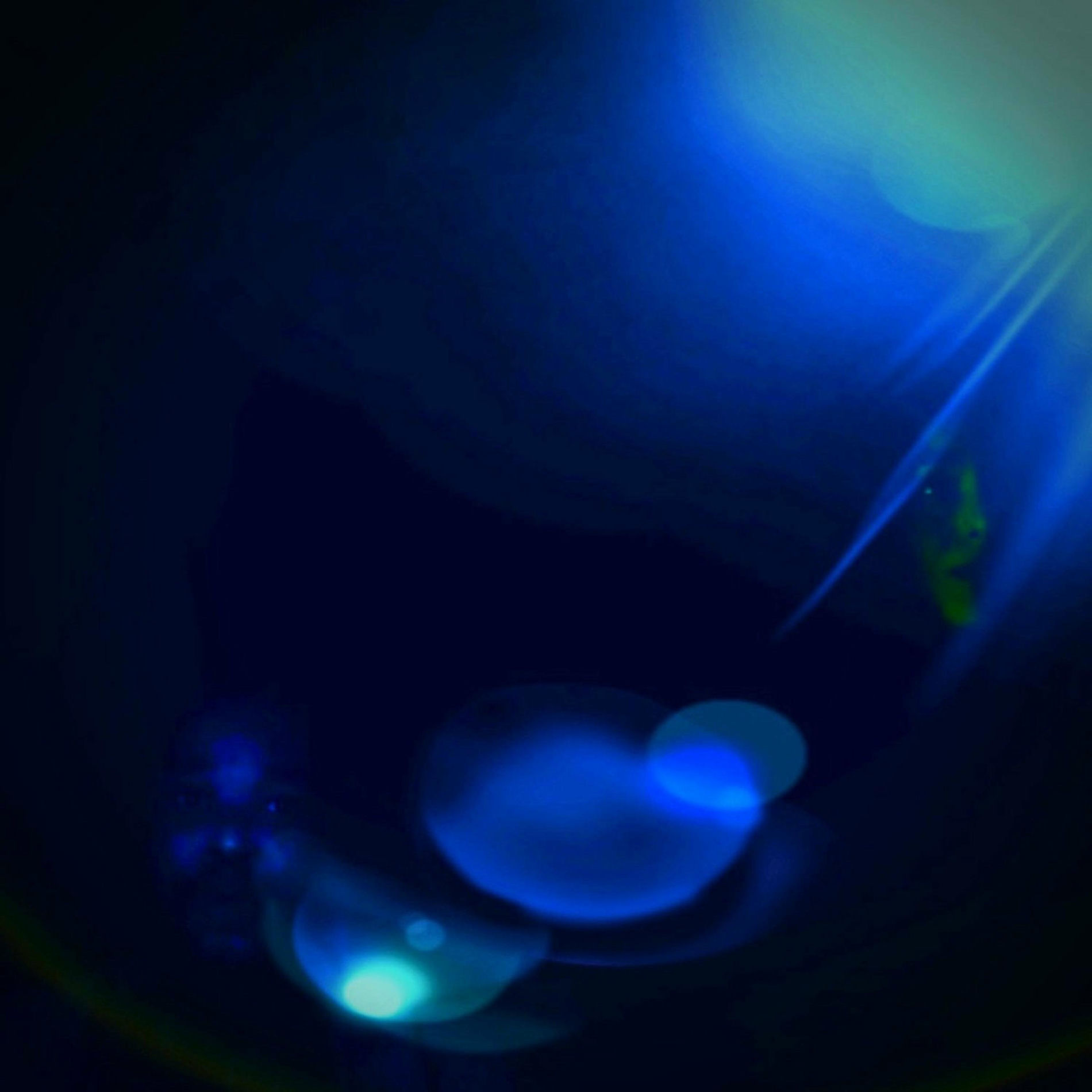 Album cover of Curiouser and Curiouser (feat. Akie Bermiss)