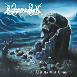 Cover of Last Skull of Humanity