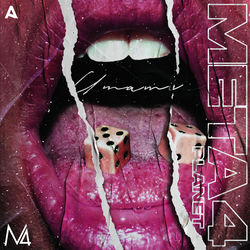 Pochette album