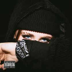 Cover of loaded gun