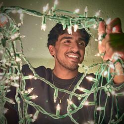 Cover of DON'T NEED CHRISTMAS LIGHTS