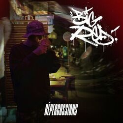 Cover of Répercussions