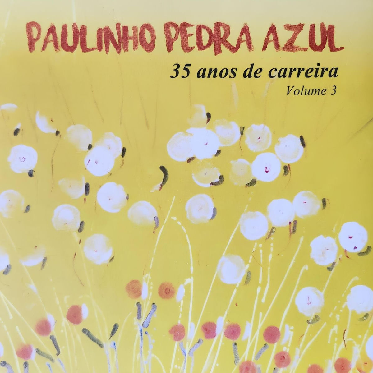Album cover of 35 Anos de Carreira, Vol. 3