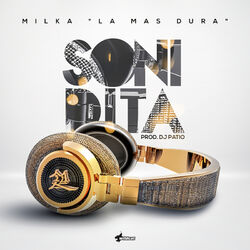 Cover of Sonidita