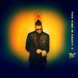 Cover of THE VIBE IS HEAVY 4