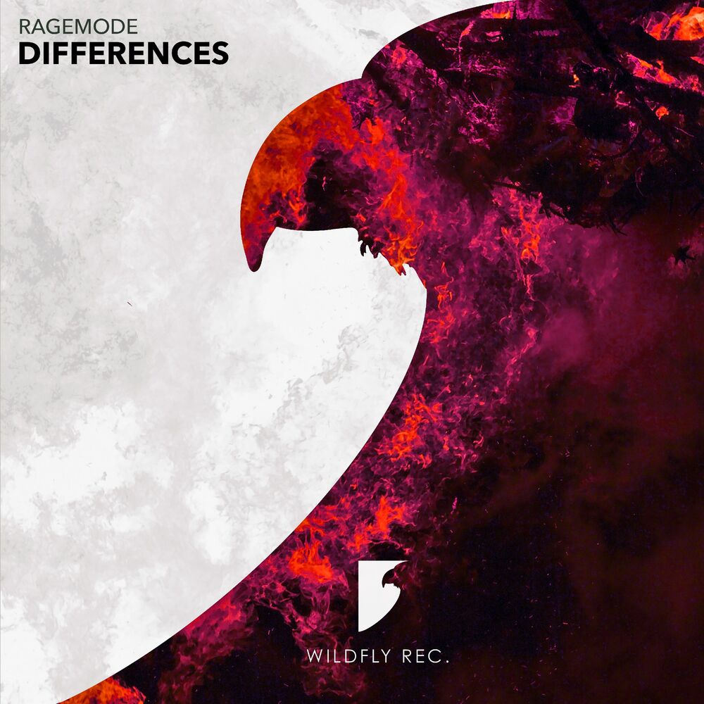 Picture of Differences