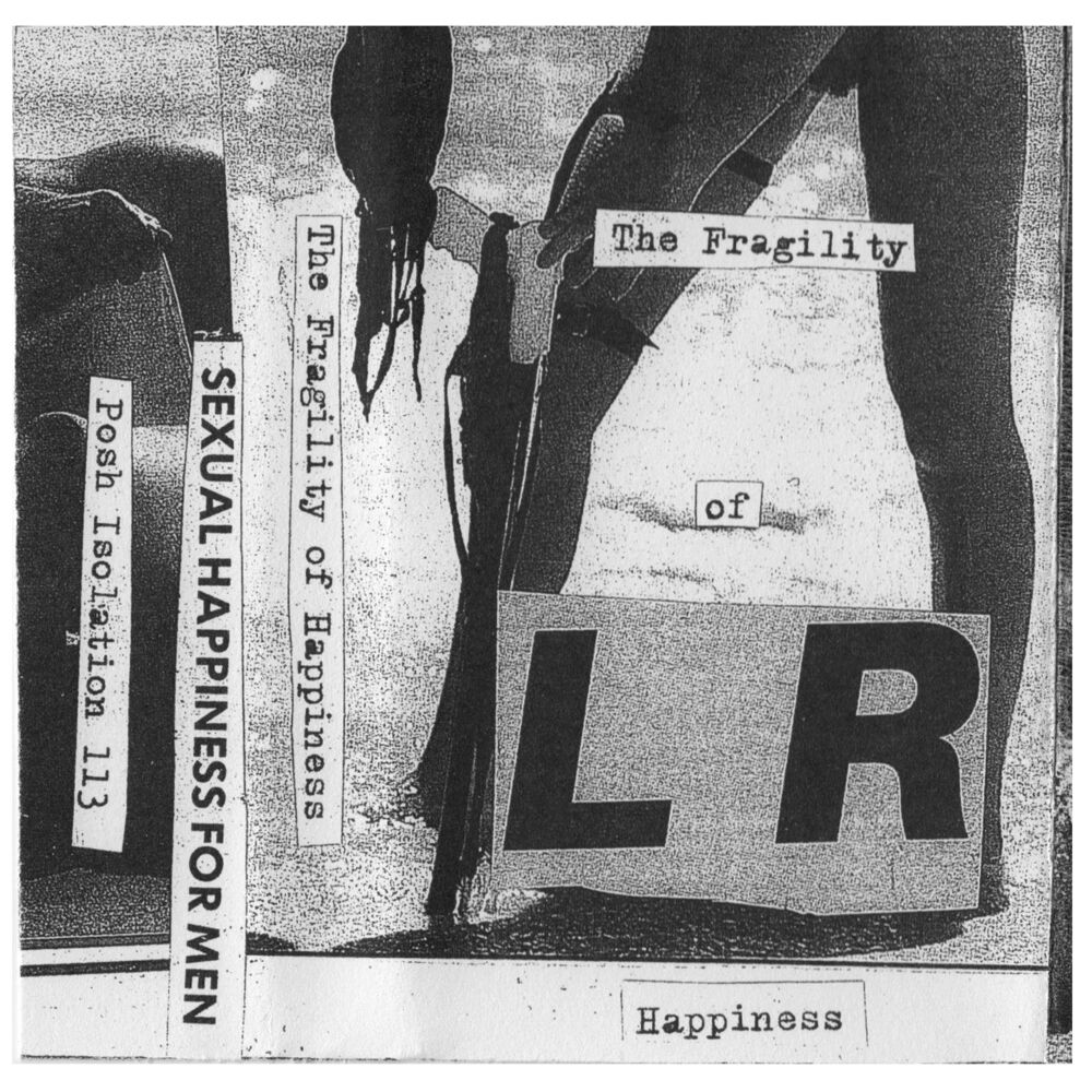 Picture of The Fragility of Happiness
