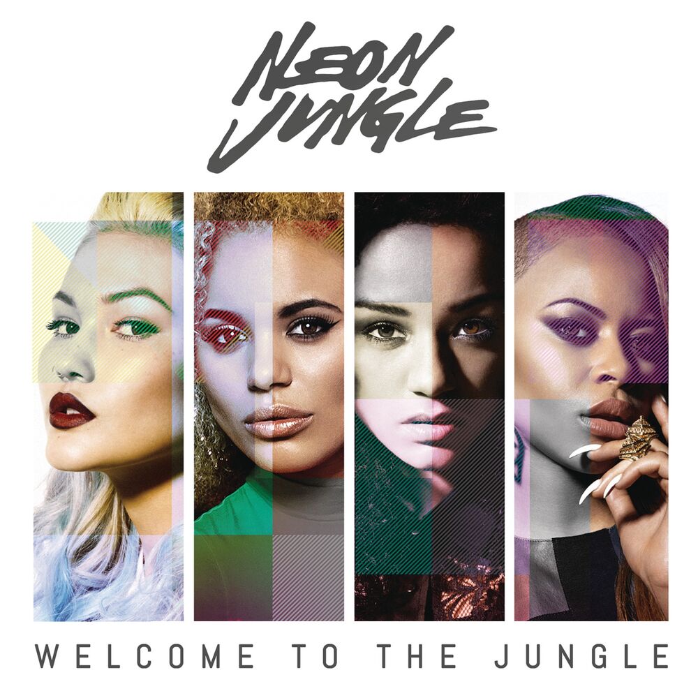 Picture of Welcome to the Jungle (Deluxe)