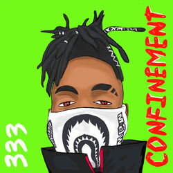 Cover of Confinement