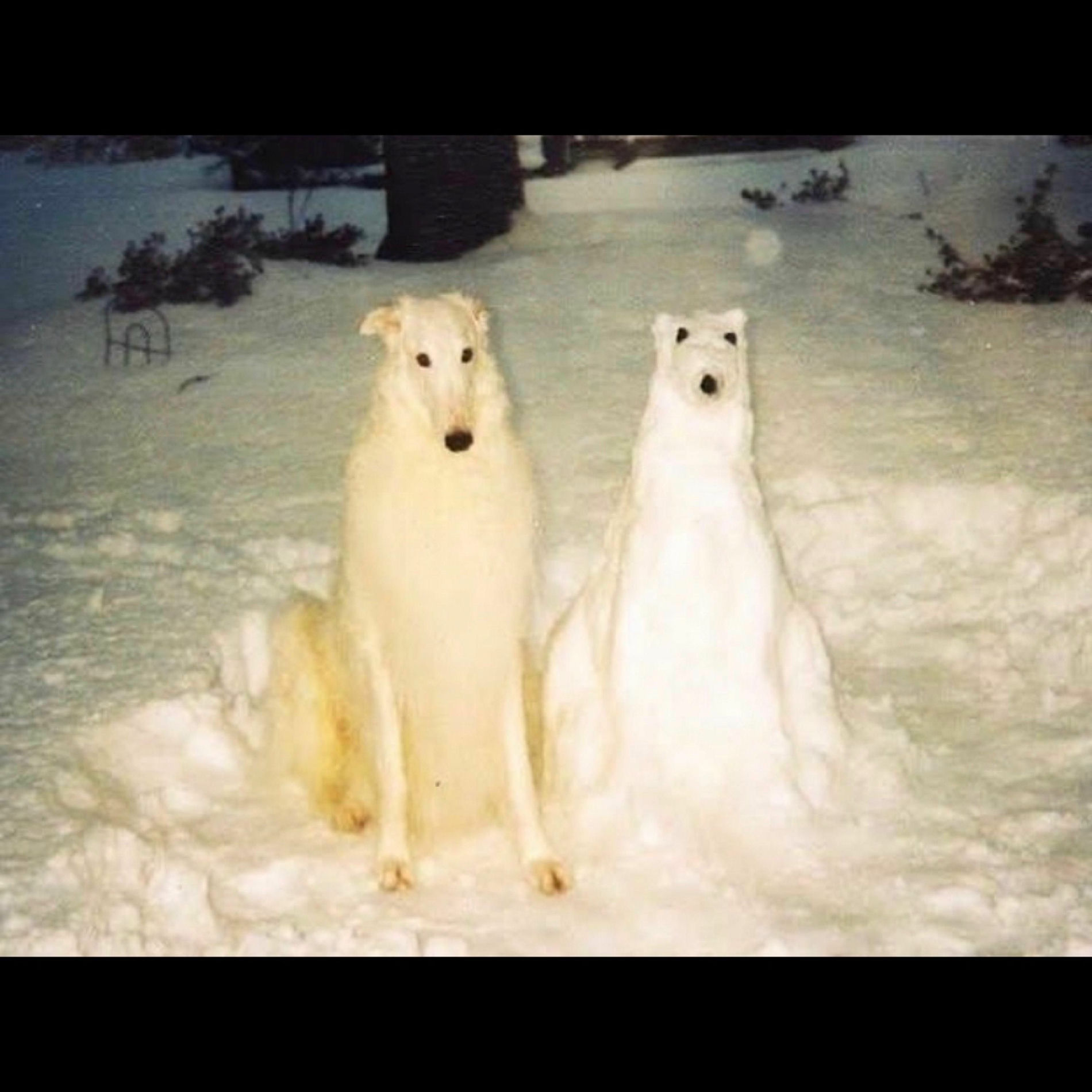 Album cover of When Will It End
