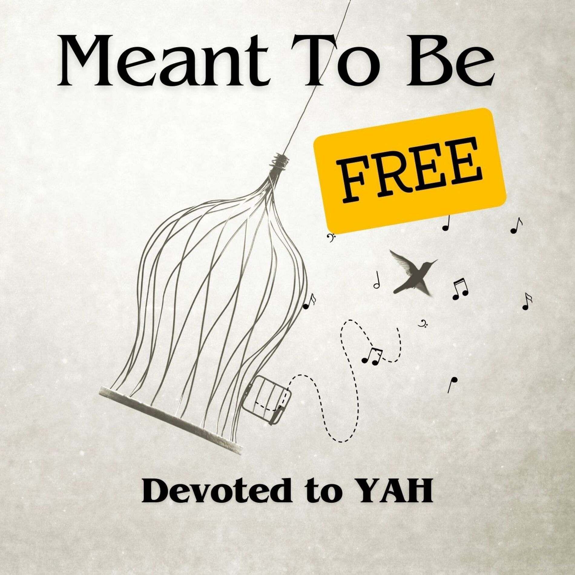 Album cover of Meant To Be FREE