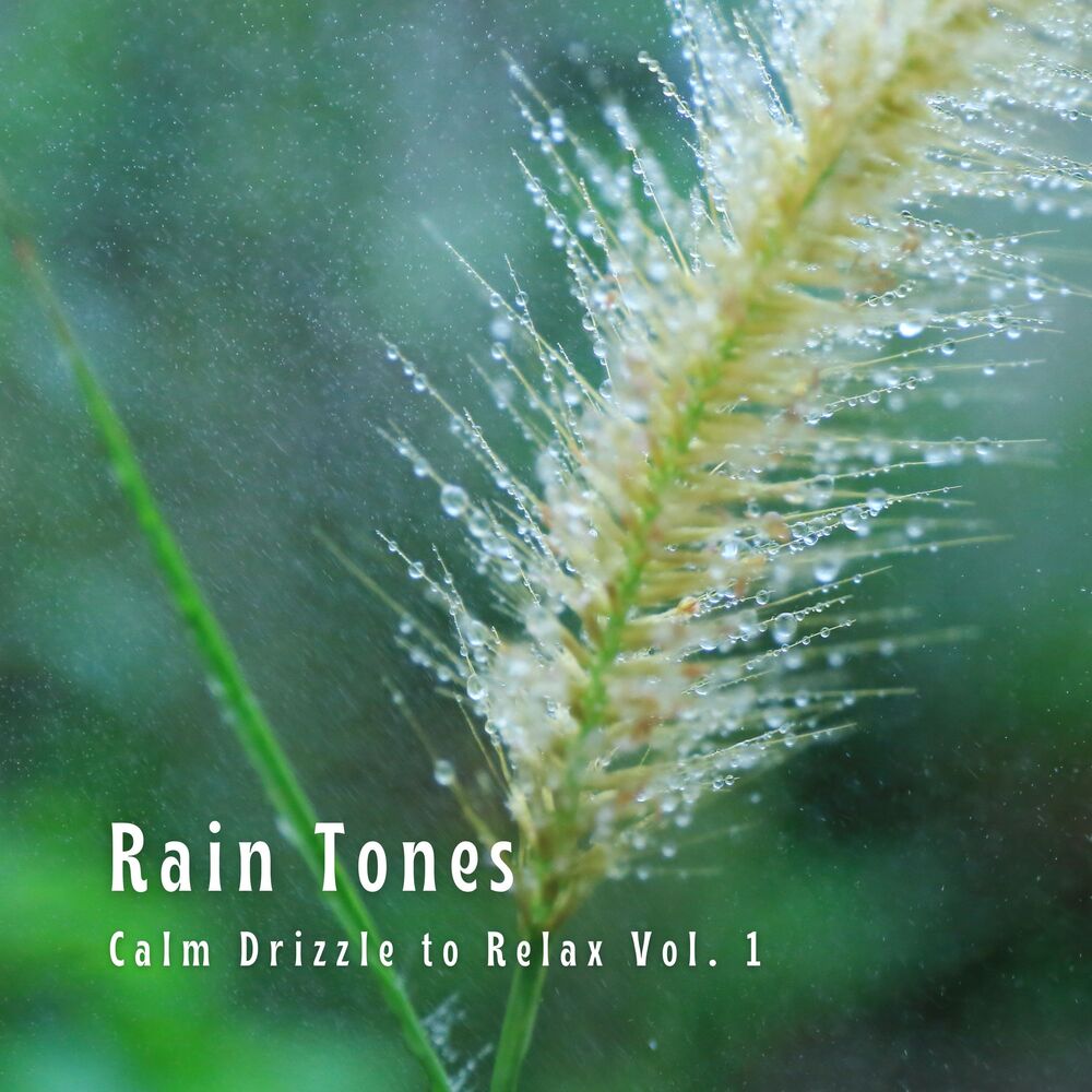 Picture of Rain Tones: Calm Drizzle to Relax Vol. 1
