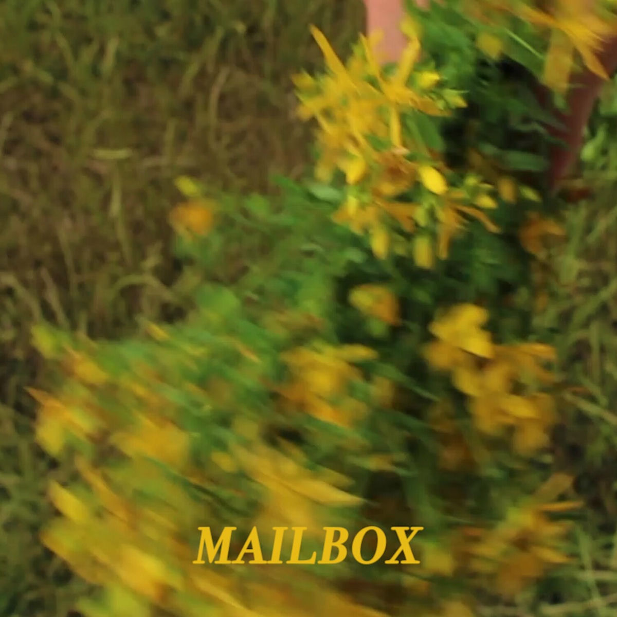 Album cover of Mailbox