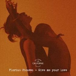 Cover of Give Me Your Love
