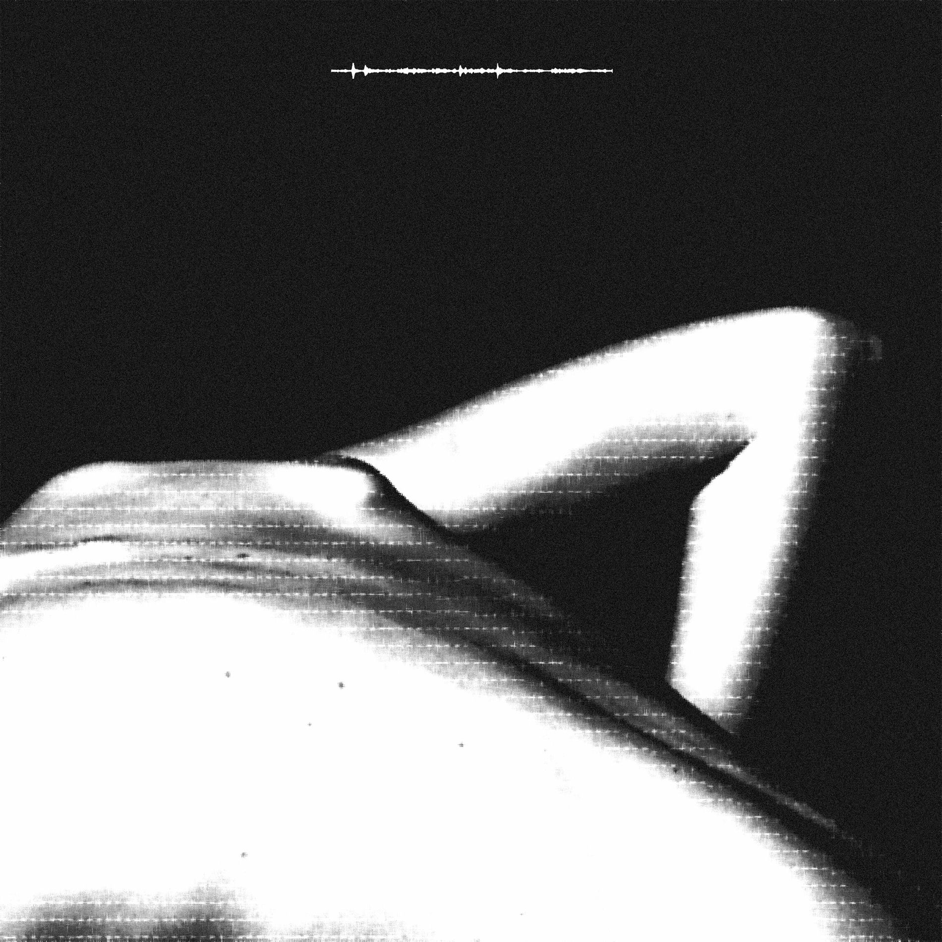 Album cover of Turn The Lights On