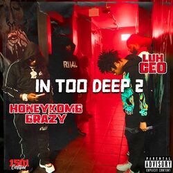 Cover of In Too Deep 2