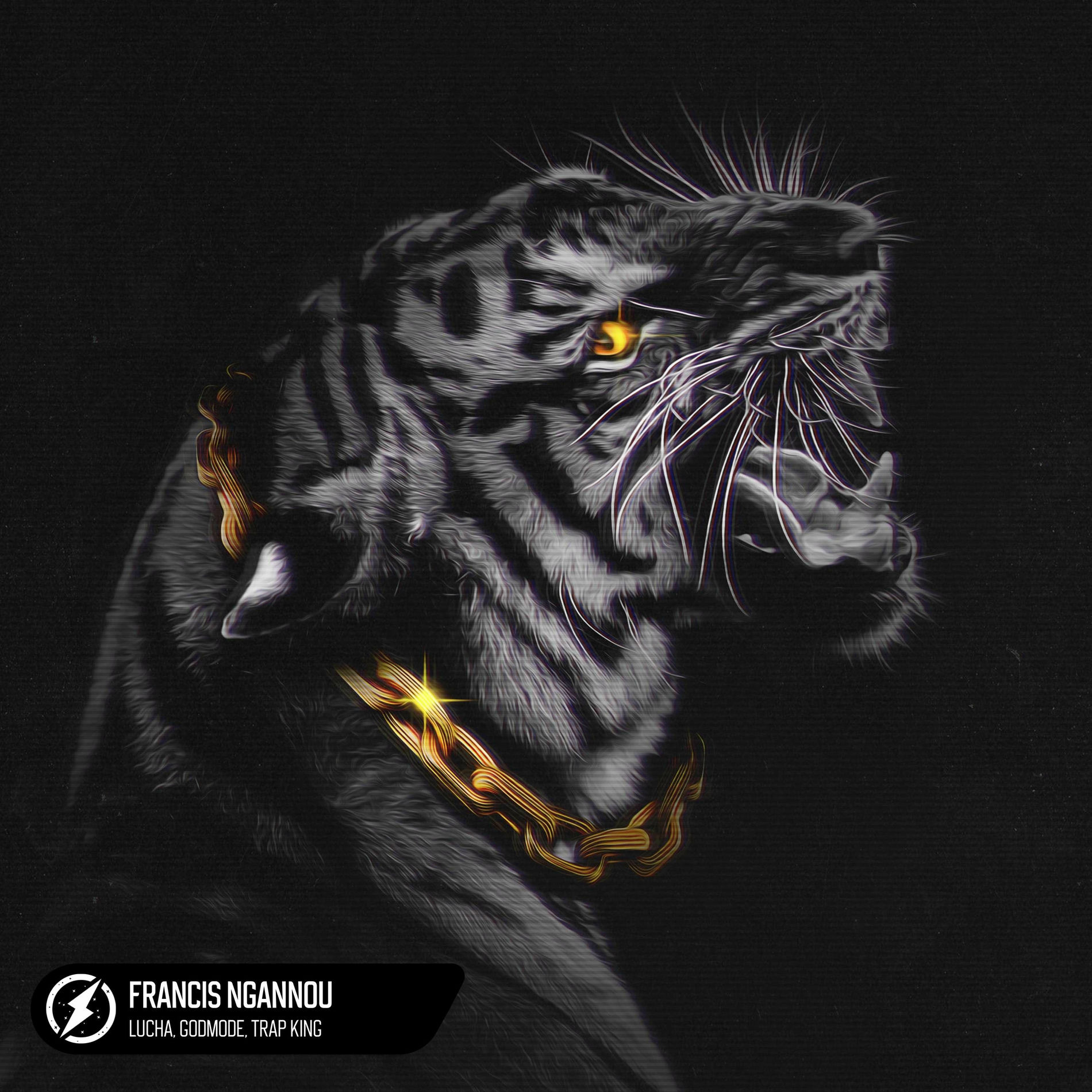 Album cover of Francis Ngannou