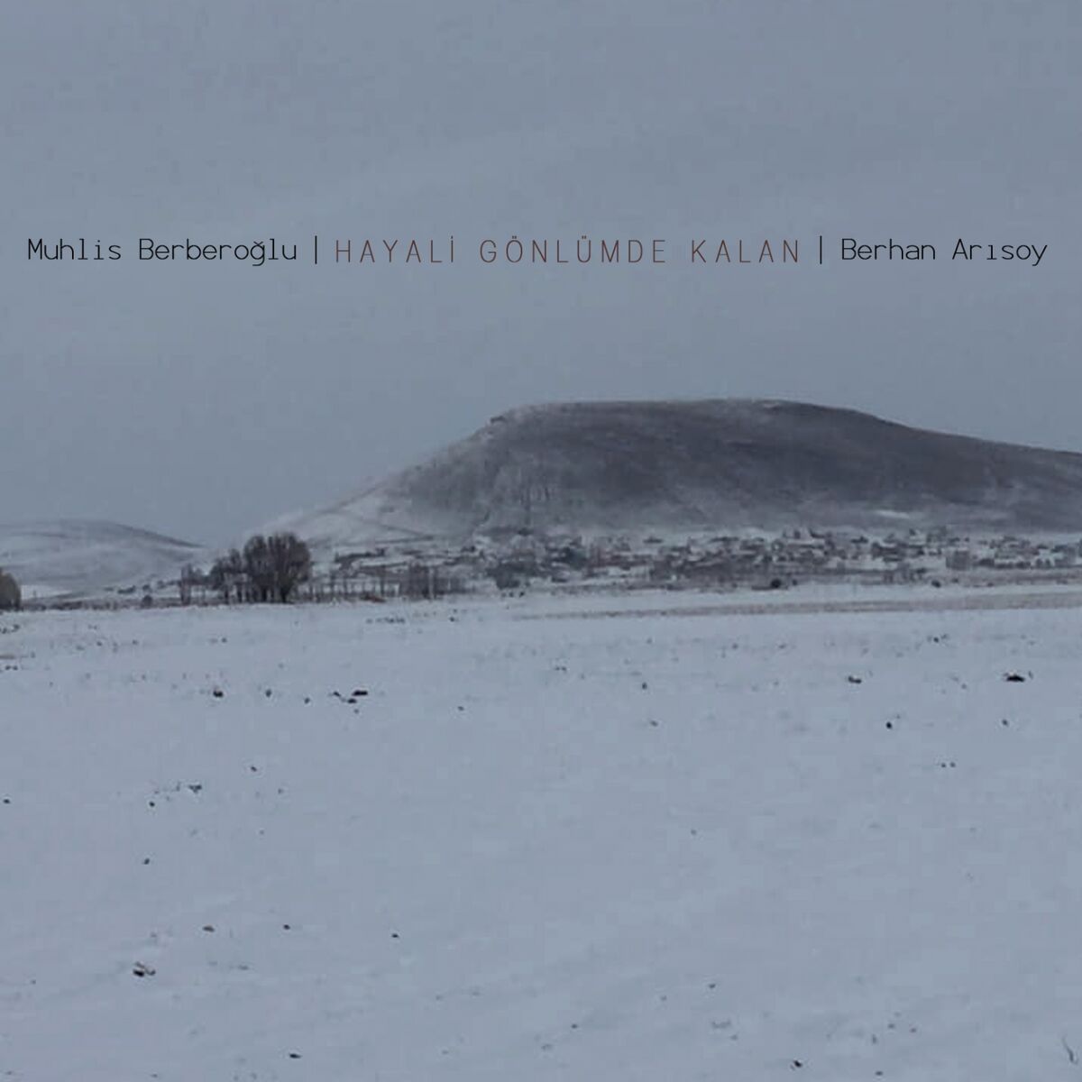 Album cover of Bebeğin Beşiği Çamdan