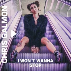 Cover of I Won´t Wanna Stop