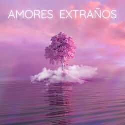 Cover of Amores Extraños (Radio Edit)