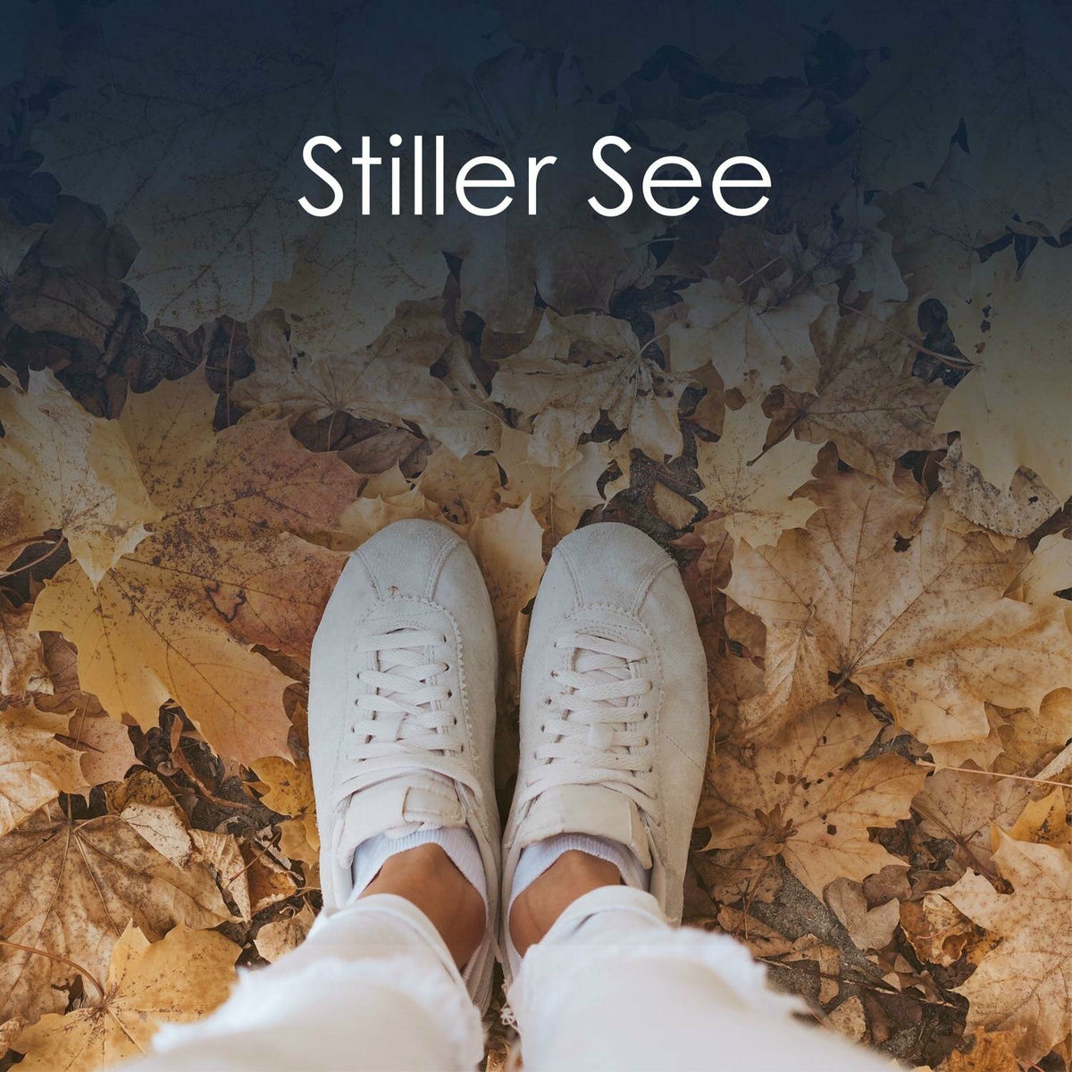 Album cover of Stiller See