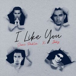 Cover of I Like You