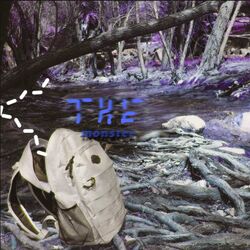 Cover of the monster