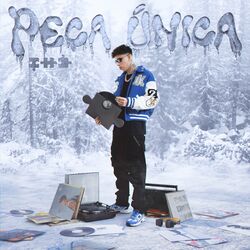 Cover of Peça Única