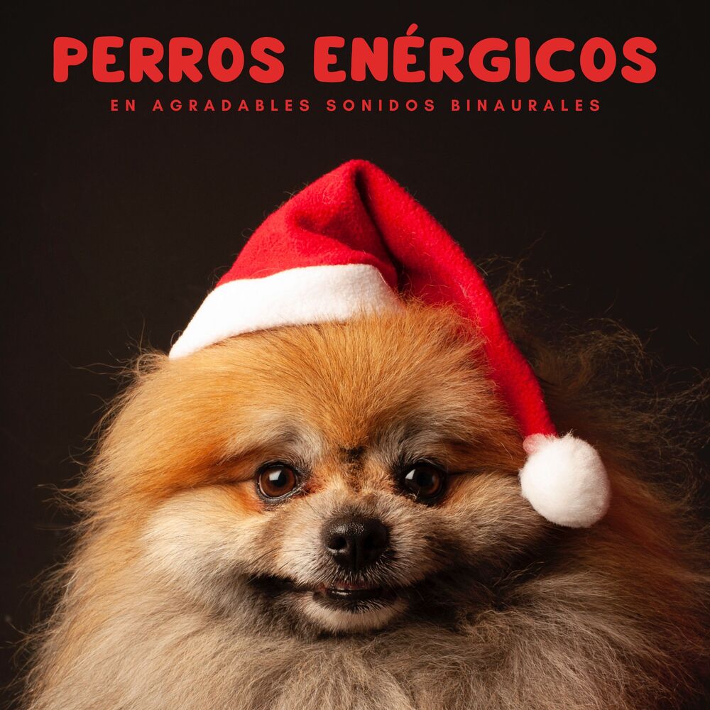 Picture of Perros enérgicos en agradables sonidos binaurales