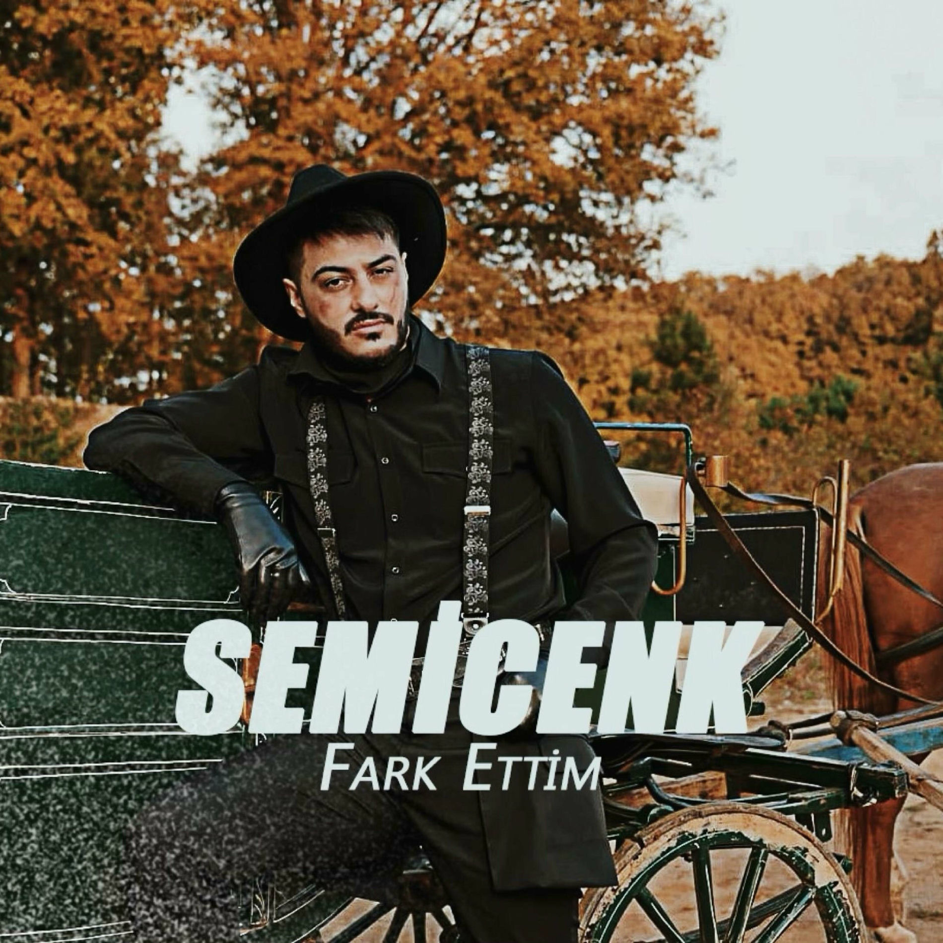Album cover of Mert Kurt - Fark Ettim (Remix)