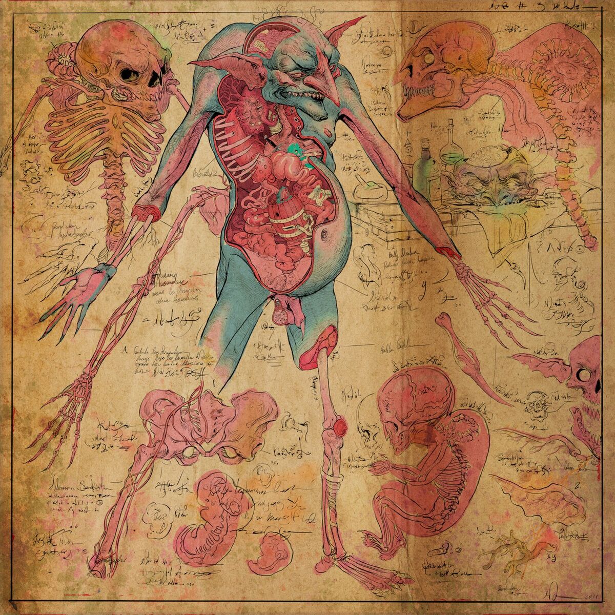 Album cover of The Fundamental Slimes and Humours