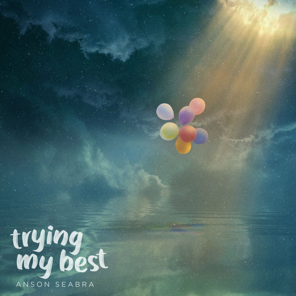 Album cover of Trying My Best
