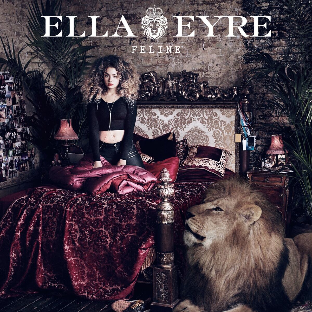 Album cover of Feline