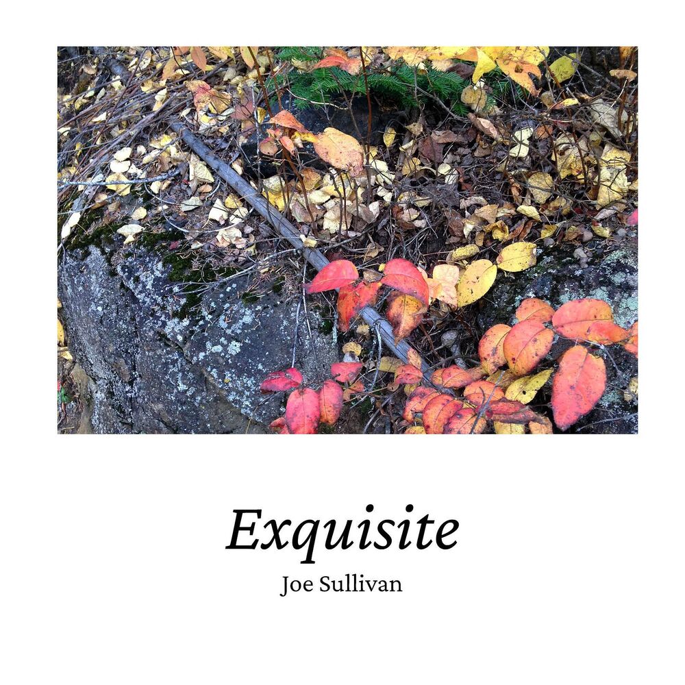 Picture of Exquisite