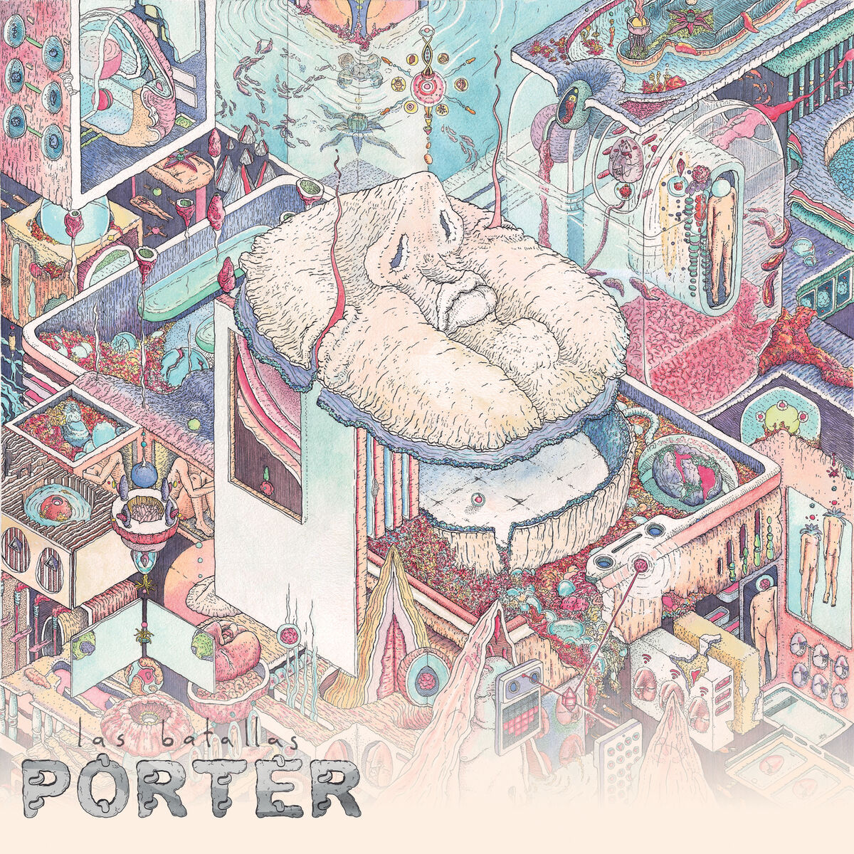 Album cover of Pájaros