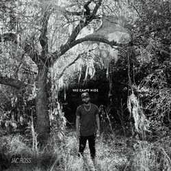 Cover of You Can't Hide