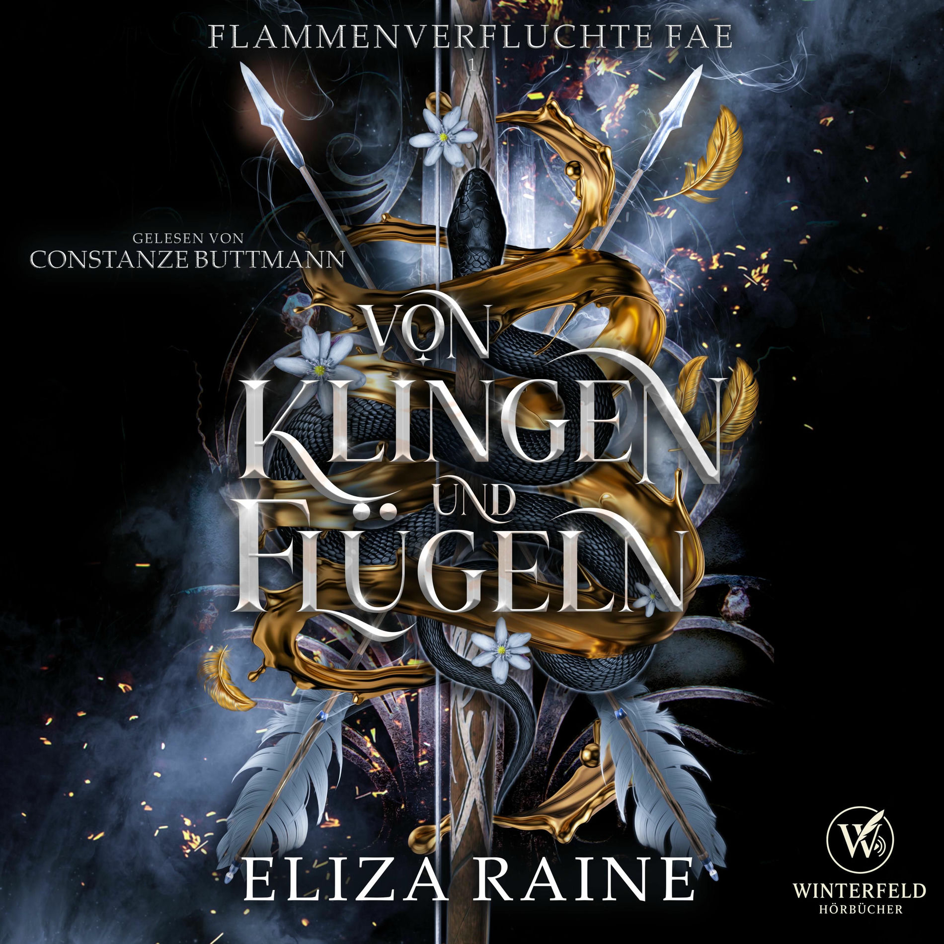Album cover of Von Klingen und Flügeln - Walküren Academy