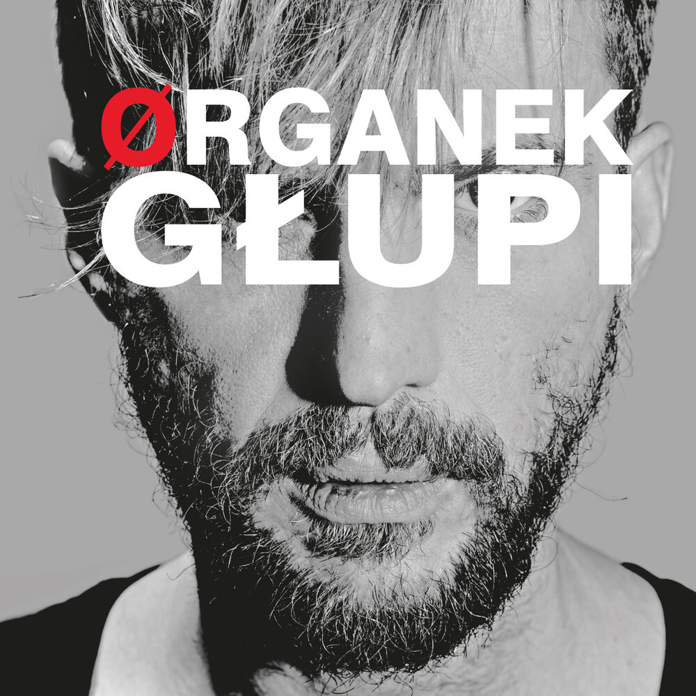 Picture of Głupi