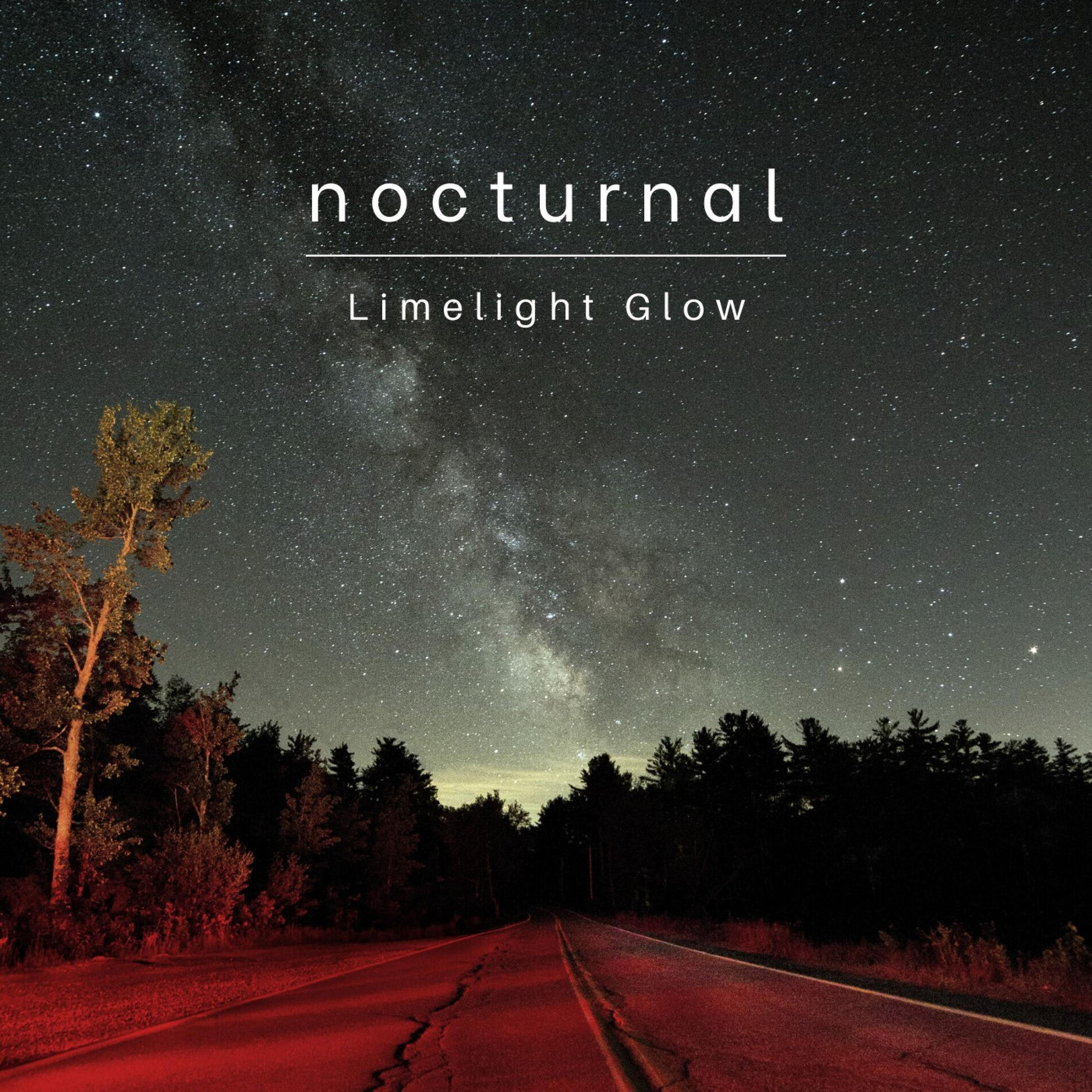 Album cover of Nocturnal