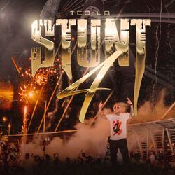 Cover of Stunt 4
