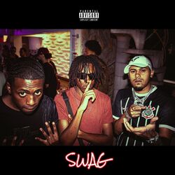 Cover of Swag