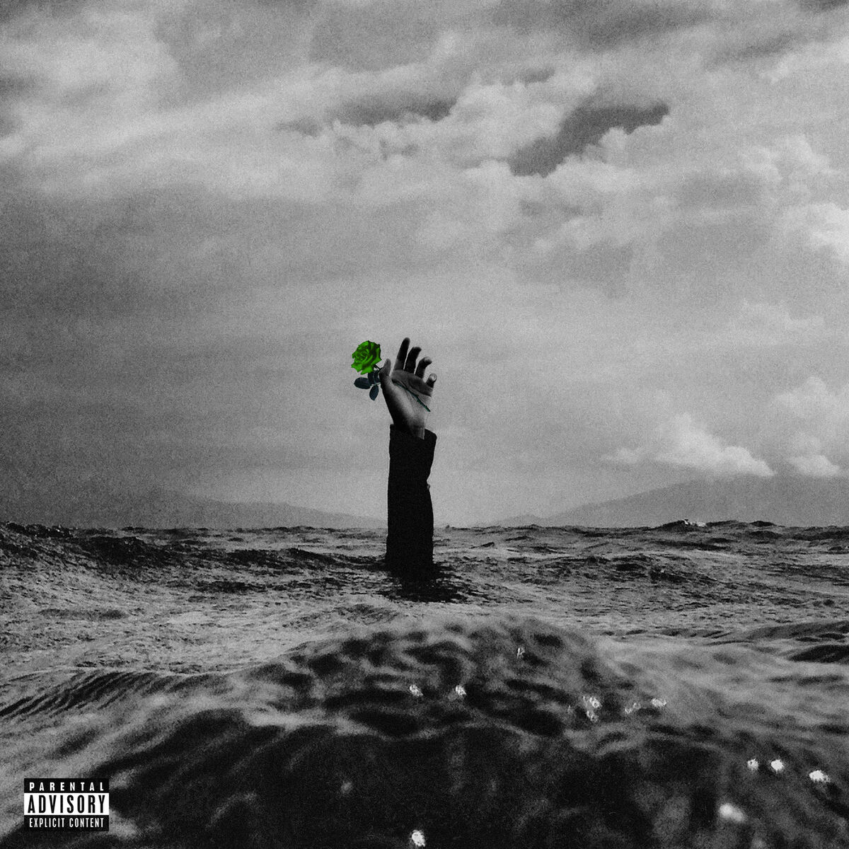 Album cover of Martyr